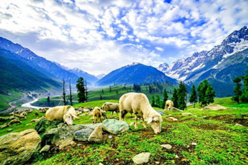 Srinagar-Kashmir 6 Days Tour Package